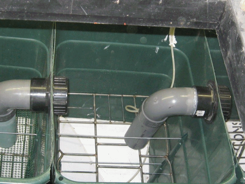 mes bassins Filtration